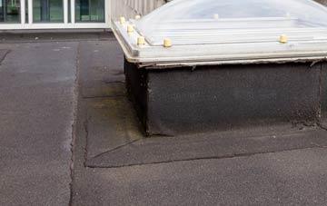 disadvantages of Carlabhagh flat roofs